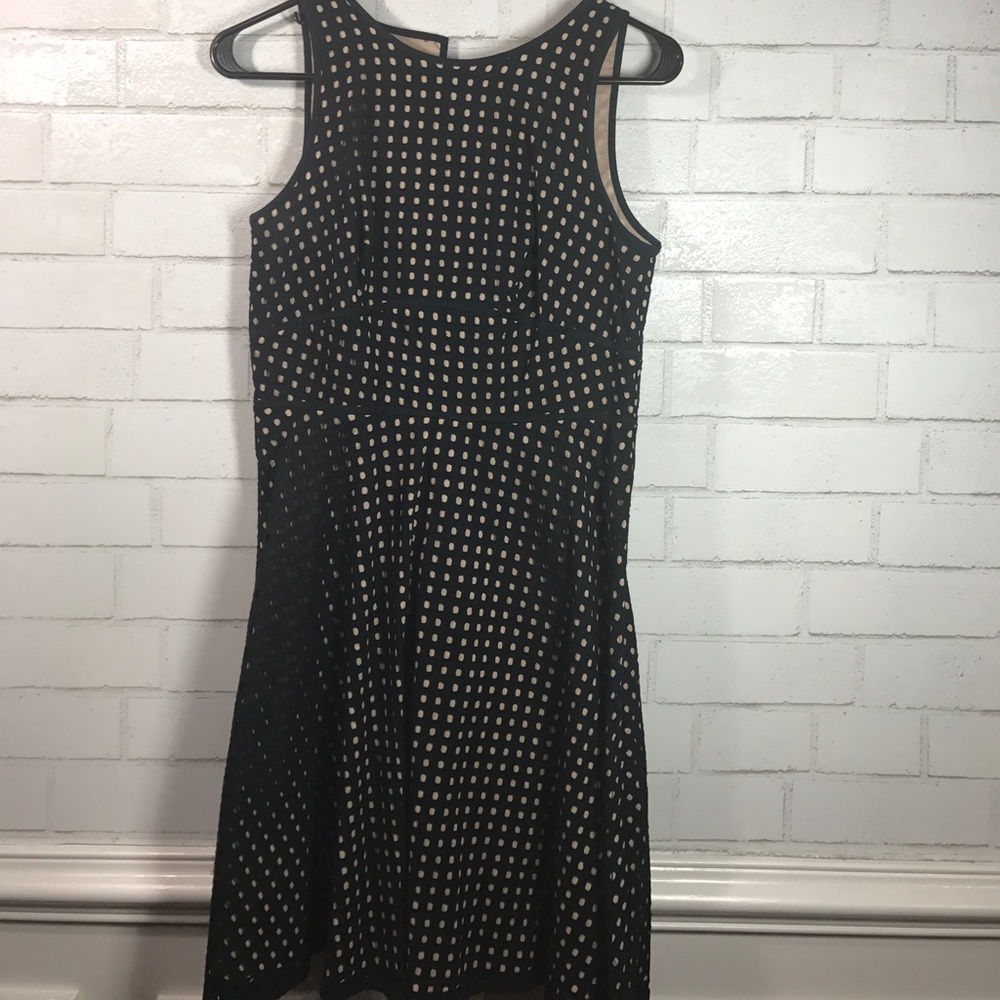 Ann Taylor Loft Dress