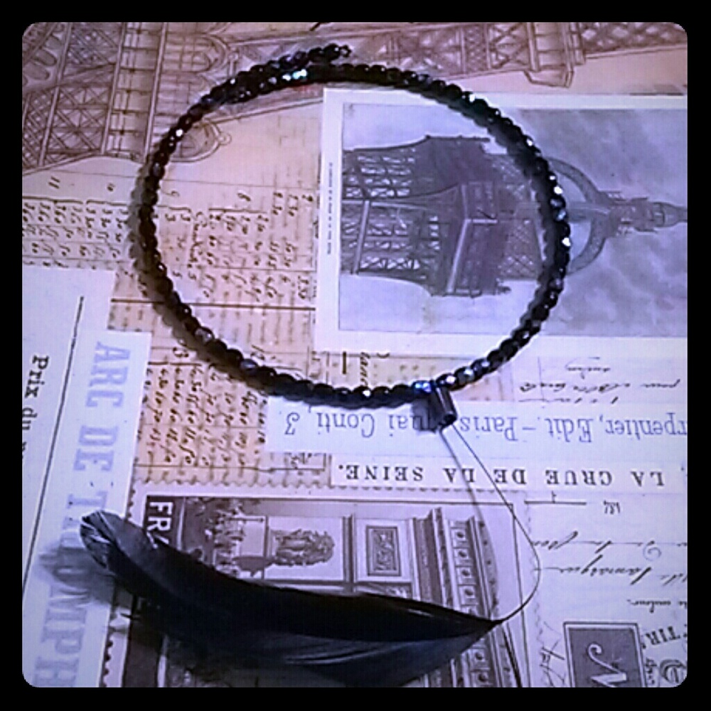 🆕   Arden B blue feather neck choker