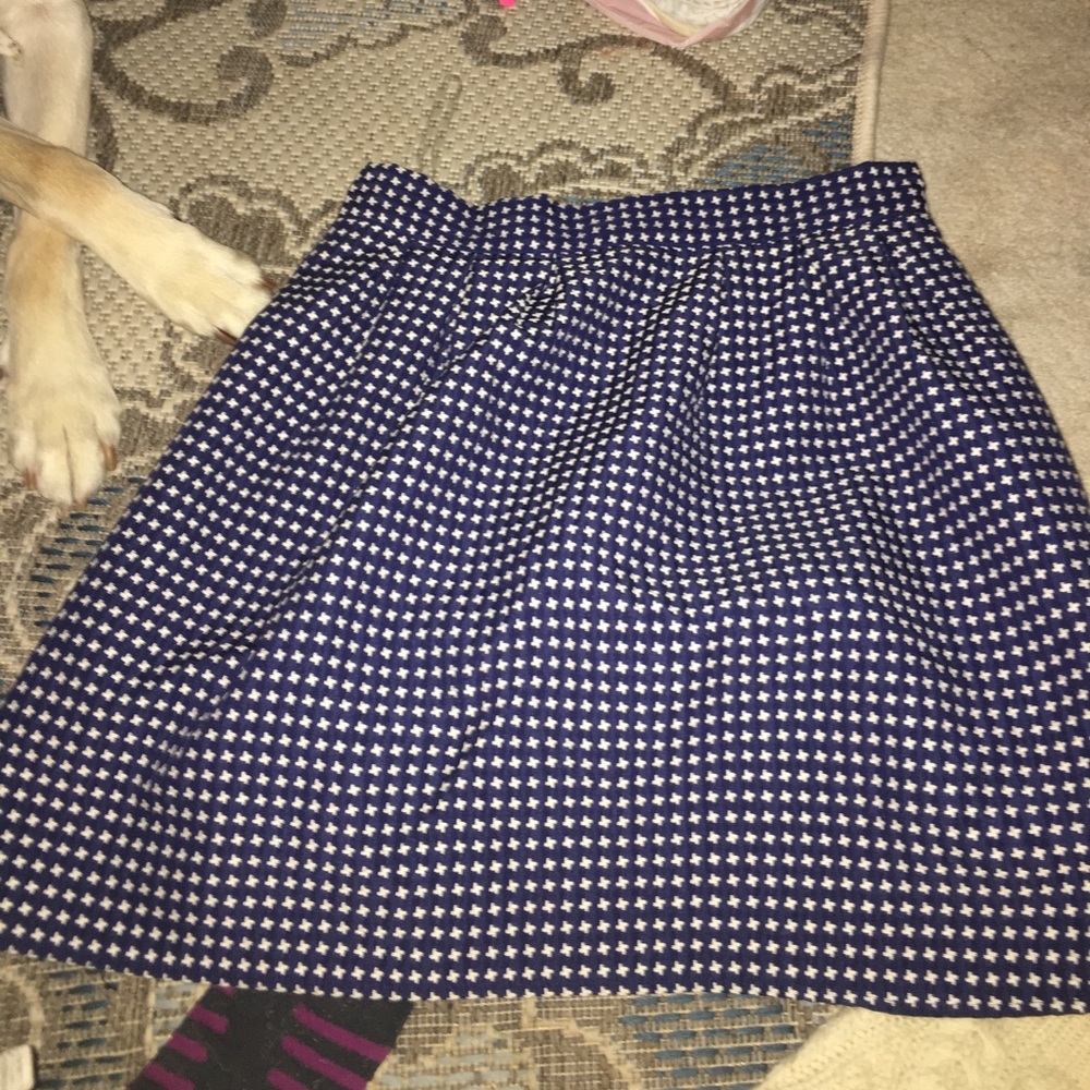 Francesca's skirt
