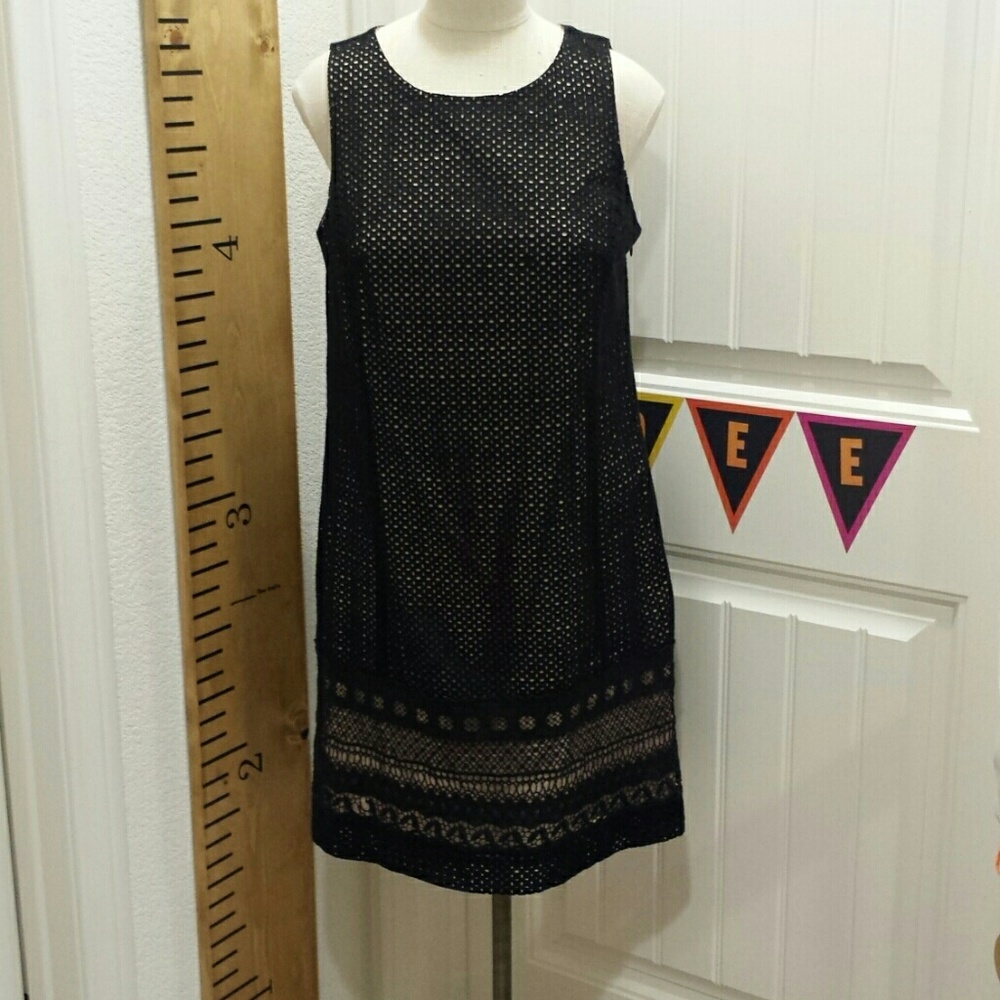 LOFT Dress Size 10 Petite