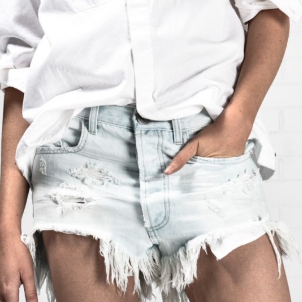 NWT One Teaspoon LeSurf Outlaw Shorts