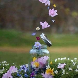 Meet your Posher, Kenia