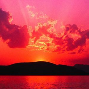 Meet your Posher, Aarin