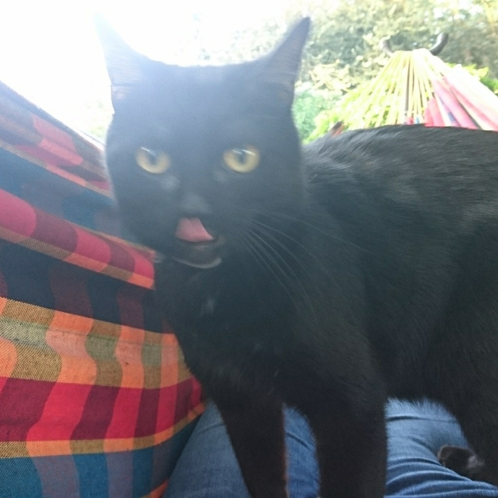 Meet your Posher, Kelly