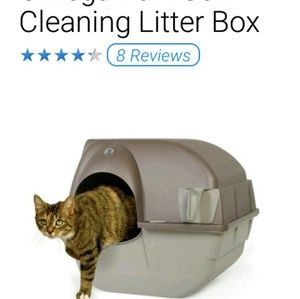 Meet your Posher, Shelly