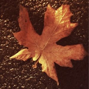 Meet your Posher, Francisca