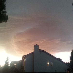 Meet your Posher, Priscilla