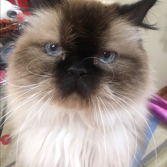 Meet your Posher, Becky - Picture 1 of 1