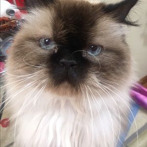 Meet your Posher, Becky