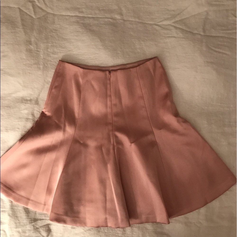 Ann Taylor skirt