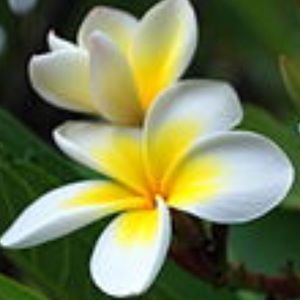 Meet your Posher, Michele