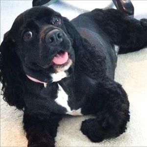 Meet your Posher, Kevin