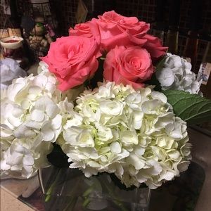 Meet your Posher, Aurora