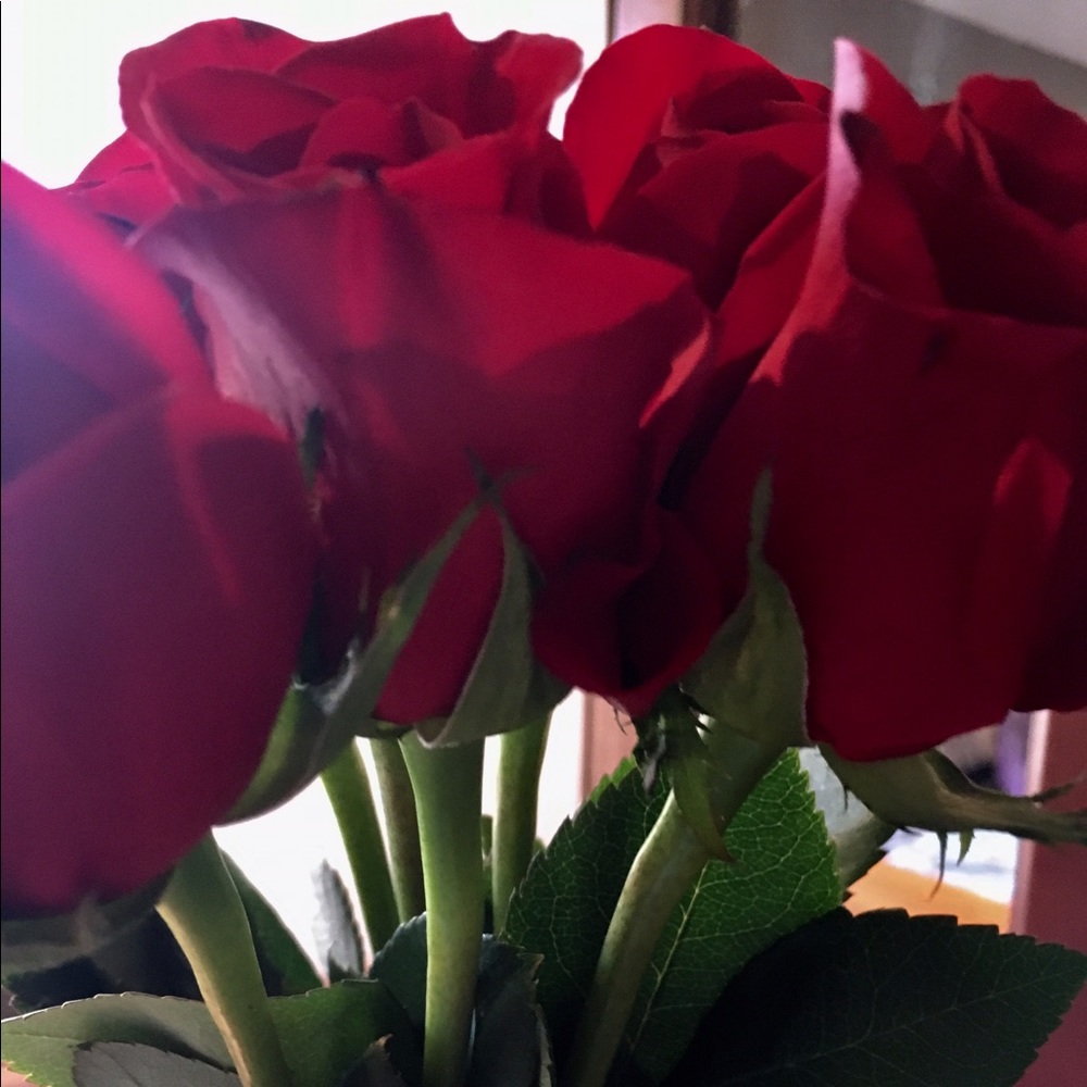 Meet your Posher, Hanna