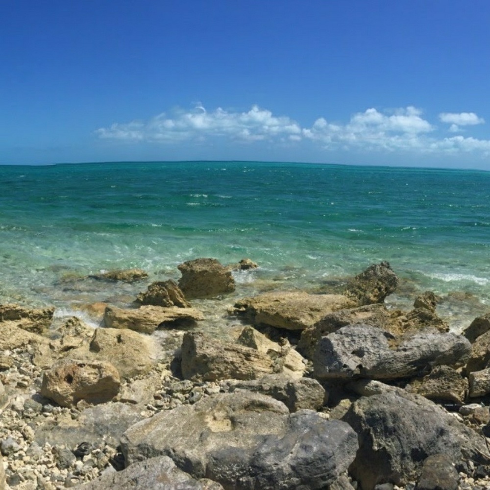 Meet your Posher, Mandy