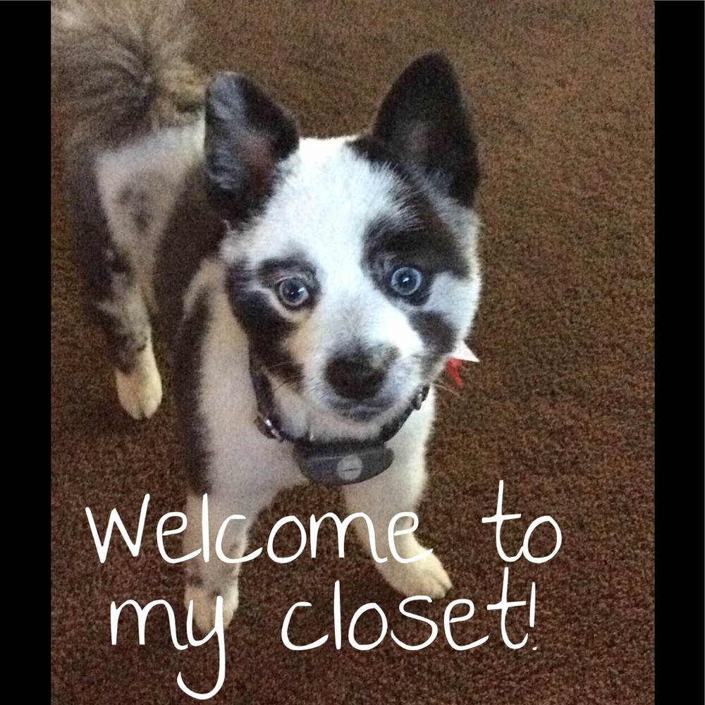 Welcome to my closet!
