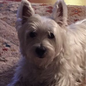 Meet your Posher, Becky