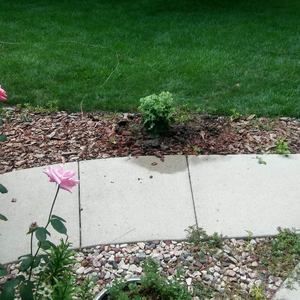 Meet your Posher, Bobbi