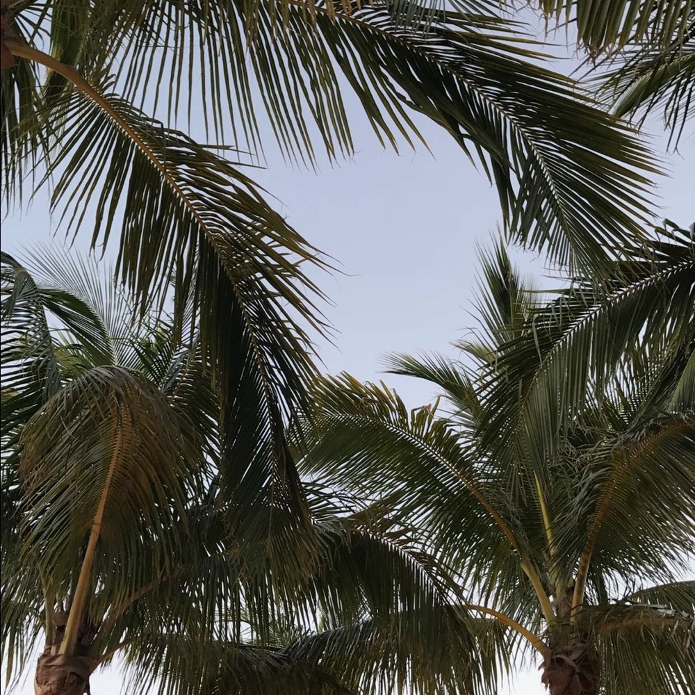 Meet your Posher, Alex