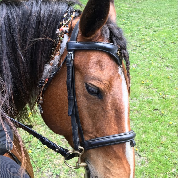 Meet your Posher, Amy - Picture 2 of 8