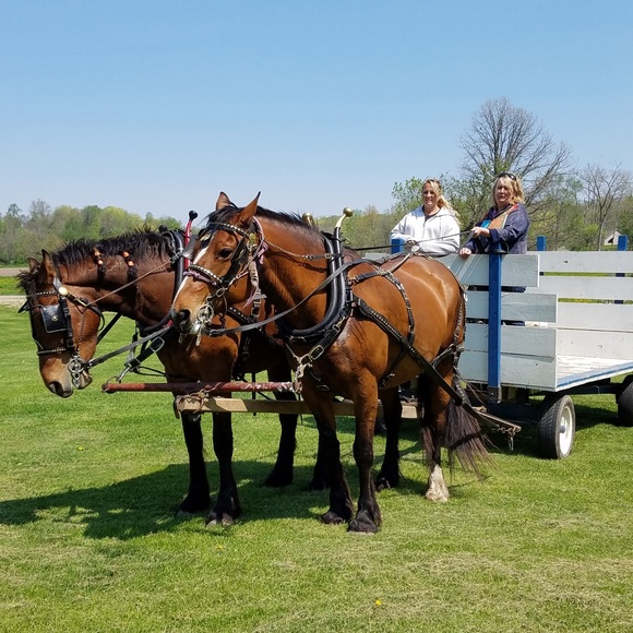 Meet your Posher, Amy - Picture 3 of 8