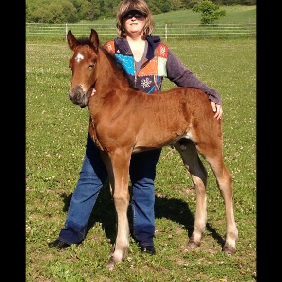 Meet your Posher, Amy - Picture 5 of 8