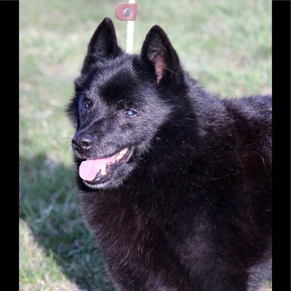 Meet your Posher, Amy - Picture 8 of 8