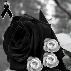 Meet your Posher, Dulce