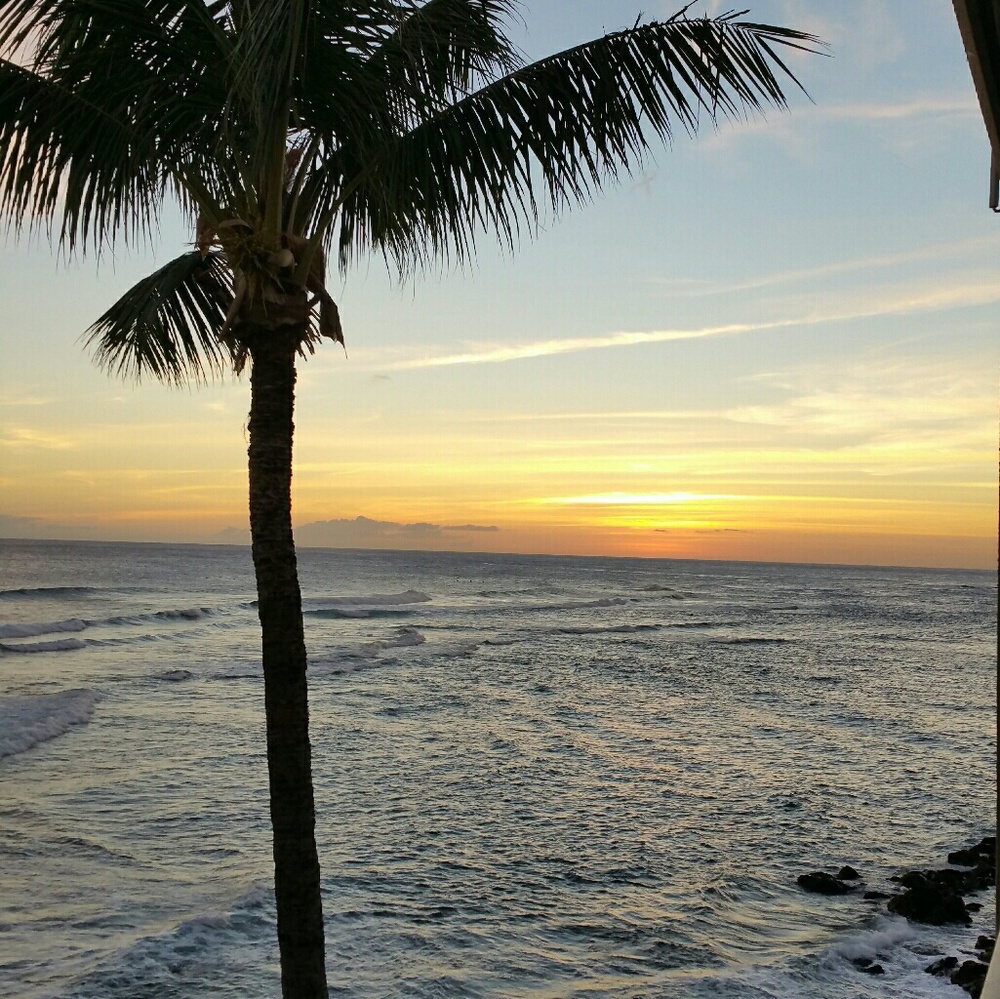 Meet your Posher, Dana