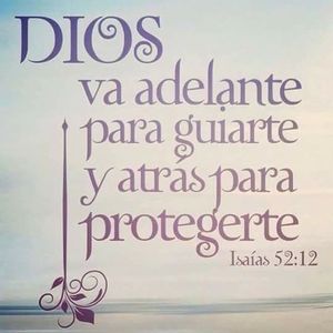 Meet your Posher, Arriaga