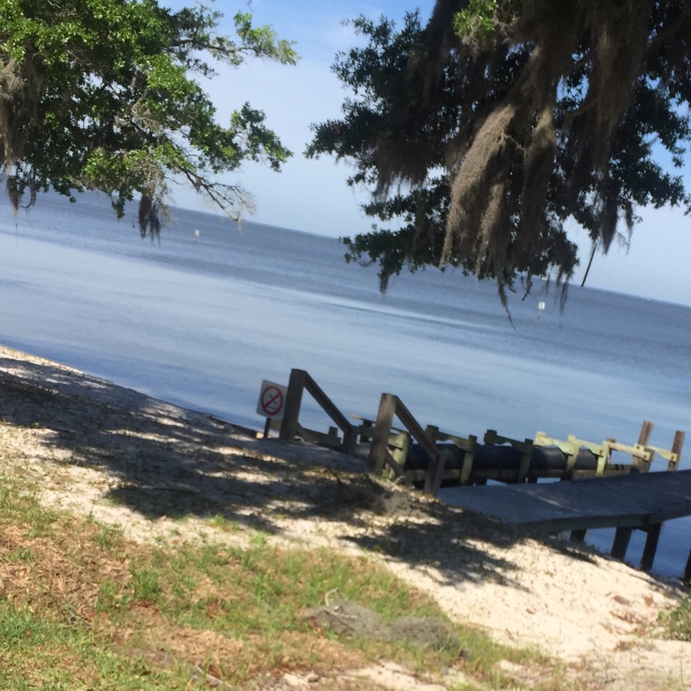 Meet your Posher, Lacy