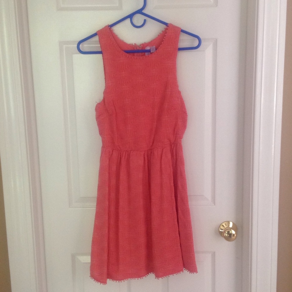 Francesca's Dress