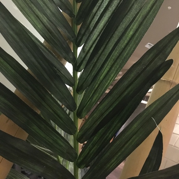 Meet your Posher, Archana - Picture 1 of 1