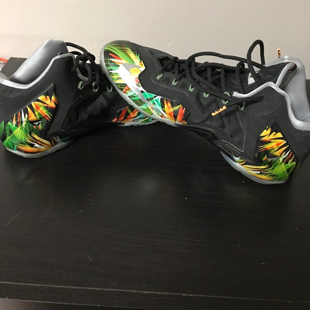 Lebron James shoes "Everglades" size 13