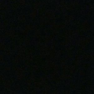 Meet your Posher, Denesha