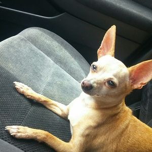 Meet your Posher, Jay