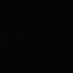 Meet your Posher, Dalton