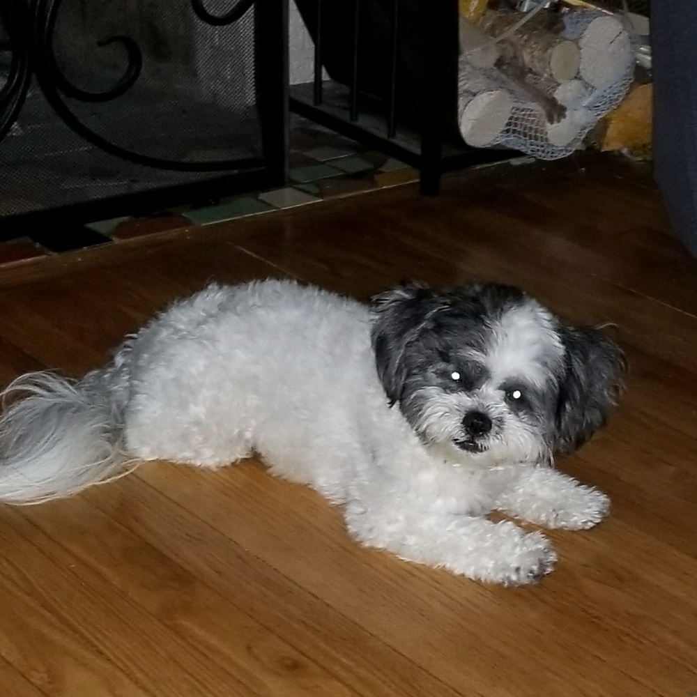 Meet your Posher, Alexa