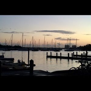 Meet your Posher, Adriana