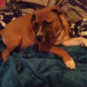 Meet your Posher, Terry