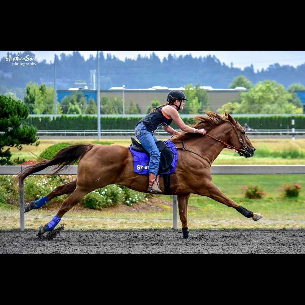 Meet your Posher, Abby