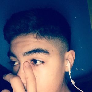 Meet your Posher, Ralphy