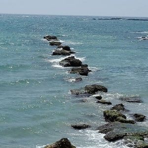 Meet your Posher, Suzan