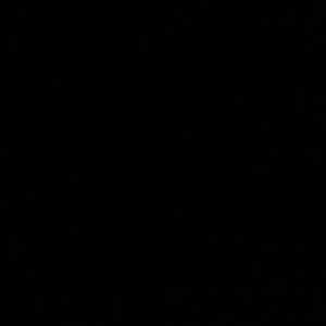 Meet your Posher, Victor