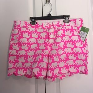 NWT Lilly Pulitzer Tusk in Sun buttercup shorts