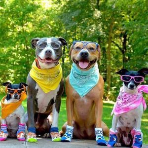 Meet your Posher, Pat