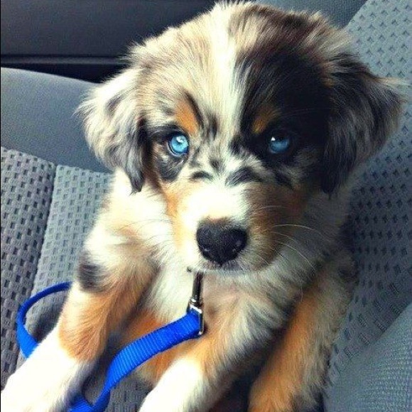 Meet your Posher, Paige - Picture 1 of 1