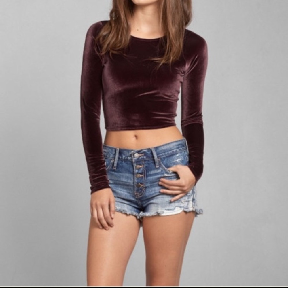 Abercrombie&Fitch Long Sleeved Velvet Crop Top (M)