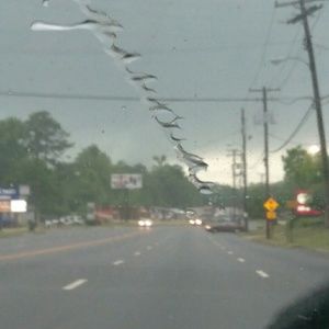 Meet your Posher, Terell