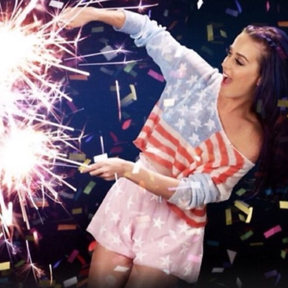 Wildfox American Flag Crop Sweater